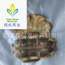 【水龟板】@【同欢药材】中药材批发供应规格齐全