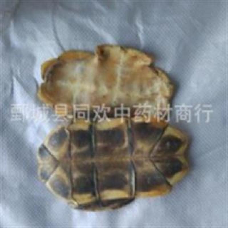 【水龟板】@【同欢药材】中药材批发供应规格齐全