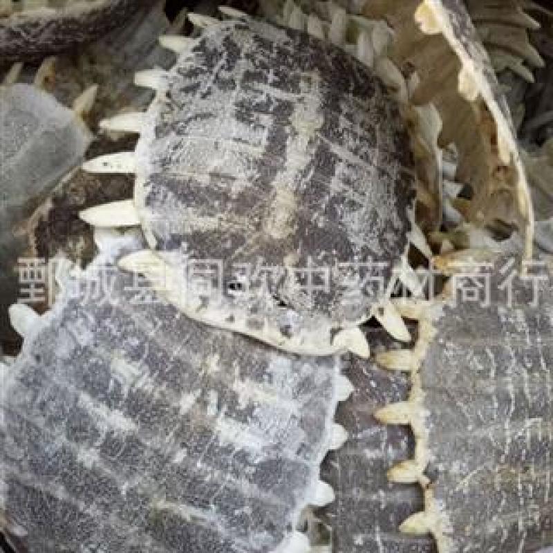 【生鳖甲】@【同欢药材】中药材批发供应规格齐全