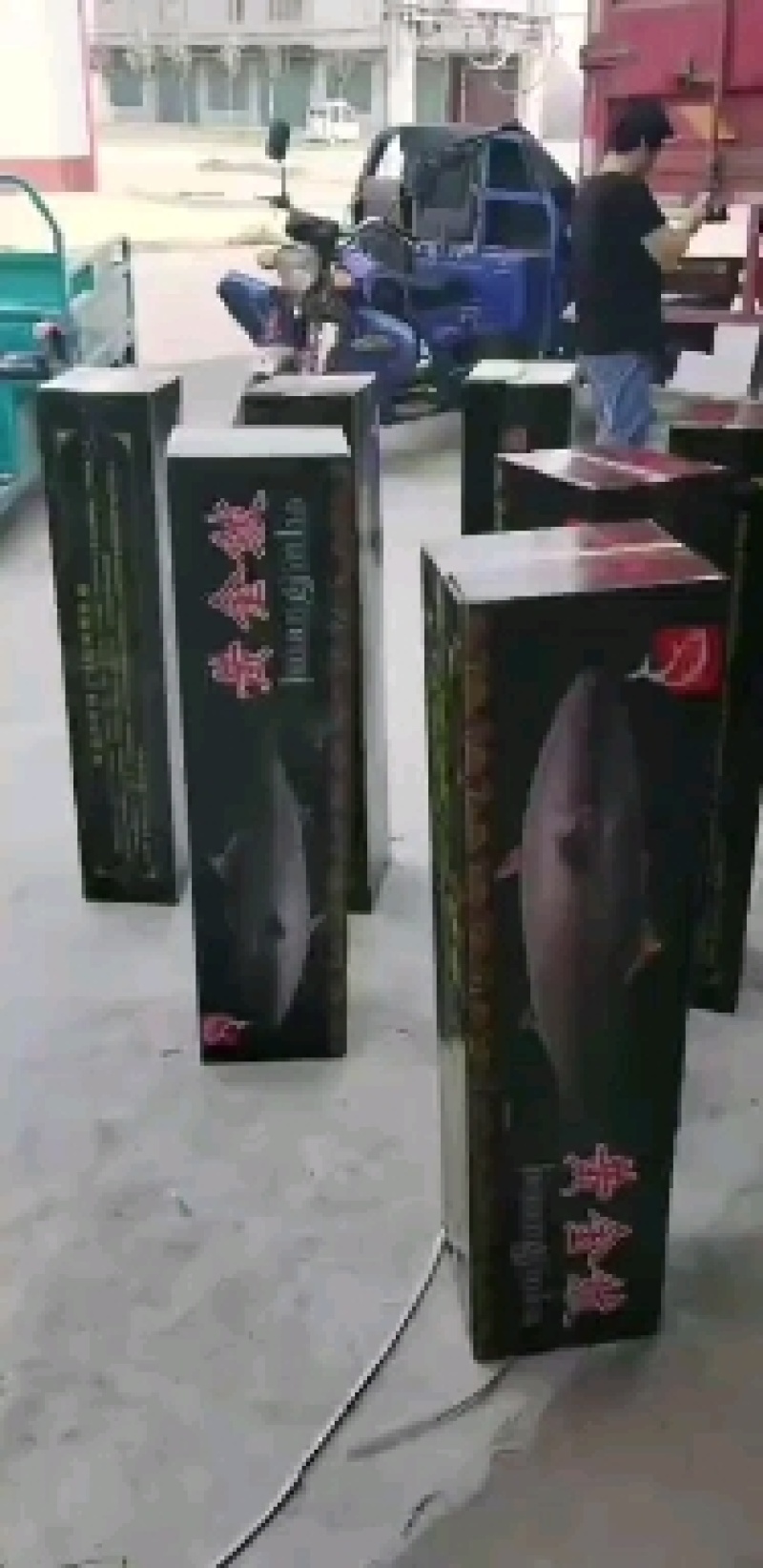 深海黄金鲅鱼大量上市啦