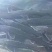【鲟鱼】产地直发，货品保障，欢迎各位老板前来采购