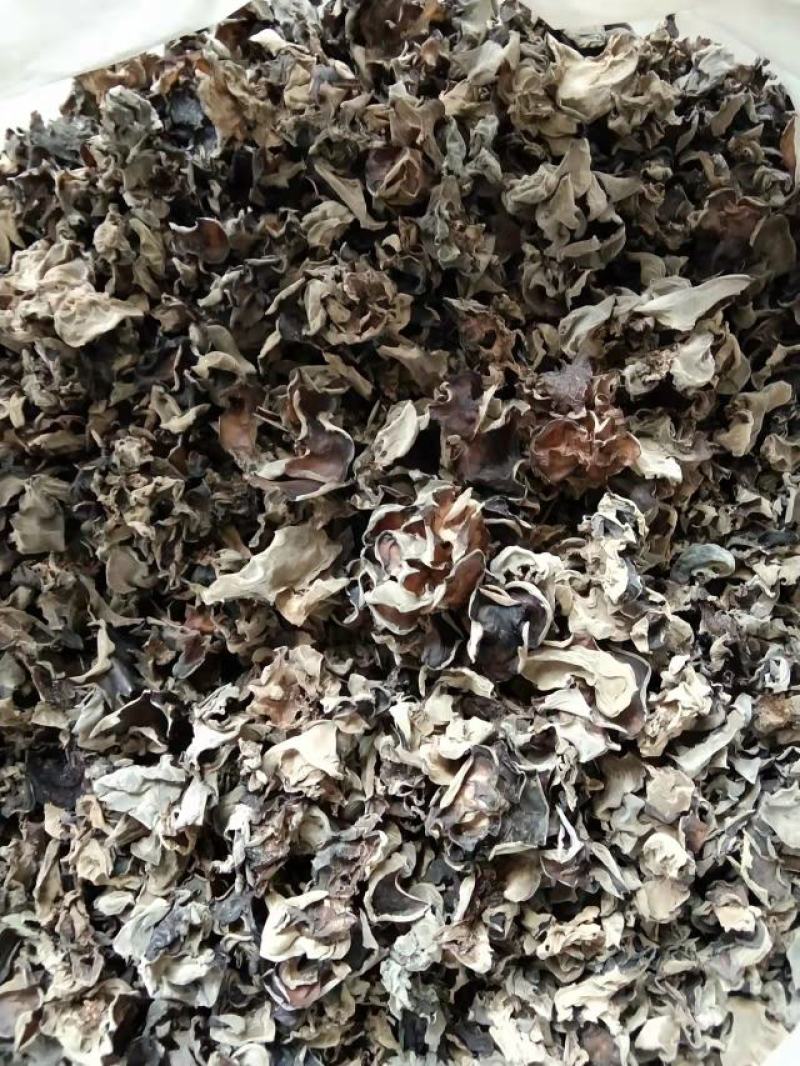 陕南特产黑木耳深山椴木木耳干货纯桦梨树耳子