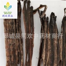 【压扁广地龙个】@【同欢药材】中药材批发供应