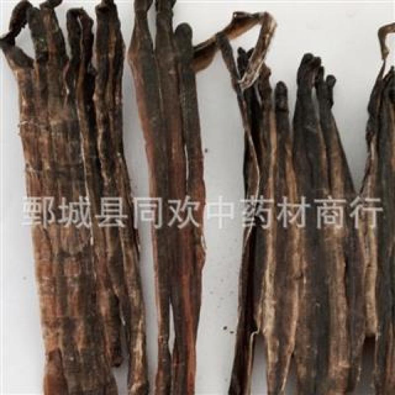 【压扁广地龙个】@【同欢药材】中药材批发供应