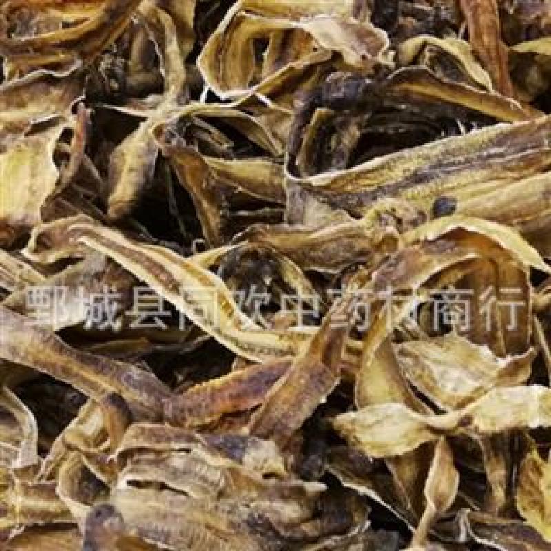 【全开小地龙】@【同欢药材】中药材批发供应