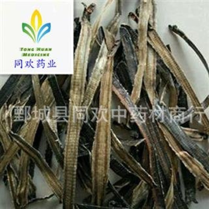【广地龙全开个】@【同欢药材】中药材批发供应