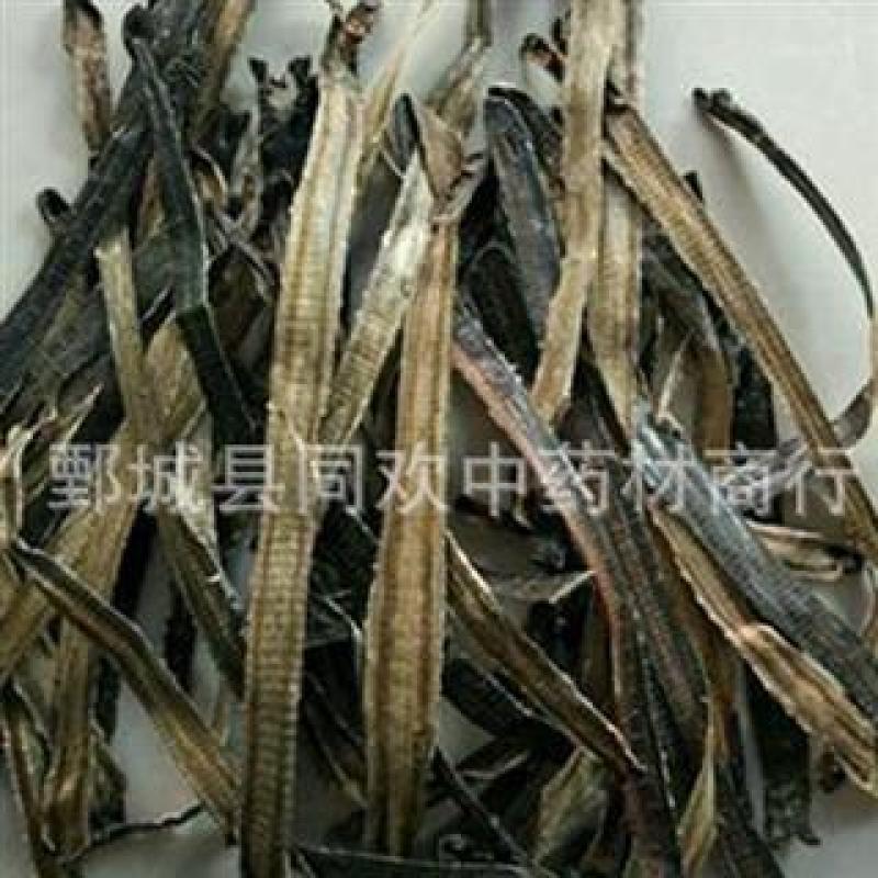 【广地龙全开个】@【同欢药材】中药材批发供应