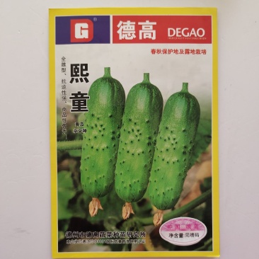 优质甜脆黄瓜种子老品种高产旱黄瓜种籽四季水果黄瓜种子