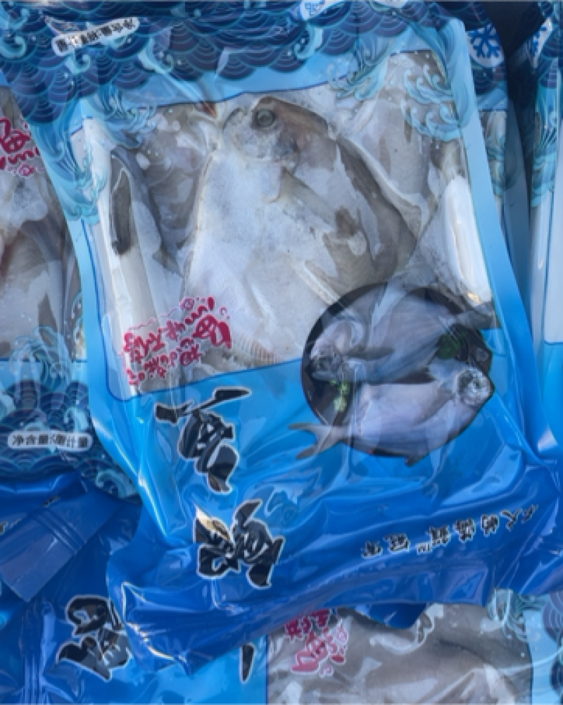 鲳鱼新鲜银鲳鱼鲜活速冻海鲜水产海鱼白鲳鱼海鲜批发