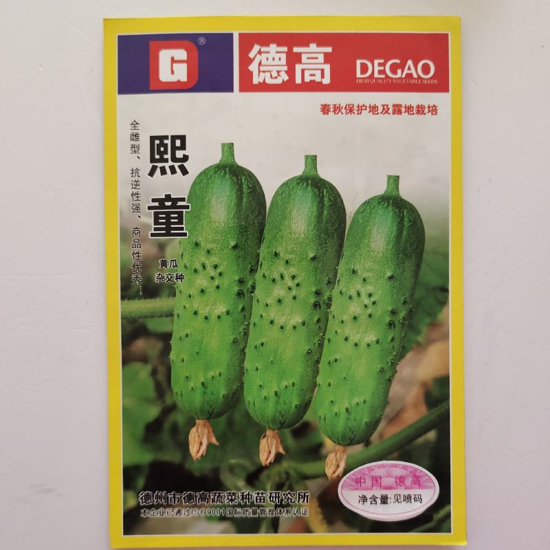 优质甜脆黄瓜种子老品种高产旱黄瓜种籽四季水果黄瓜种子