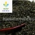 【蚕沙】@【同欢药材】中药材批发供应规格齐全量大从优