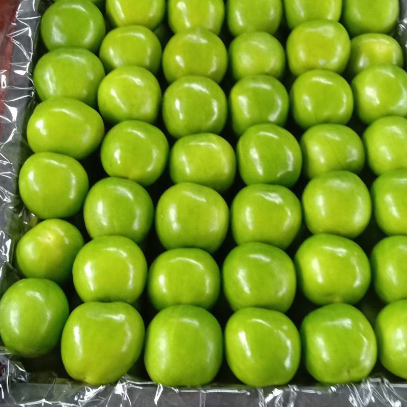 云南玉溪元江的青枣、天蜜枣开始大量上市了。需要的老板联系