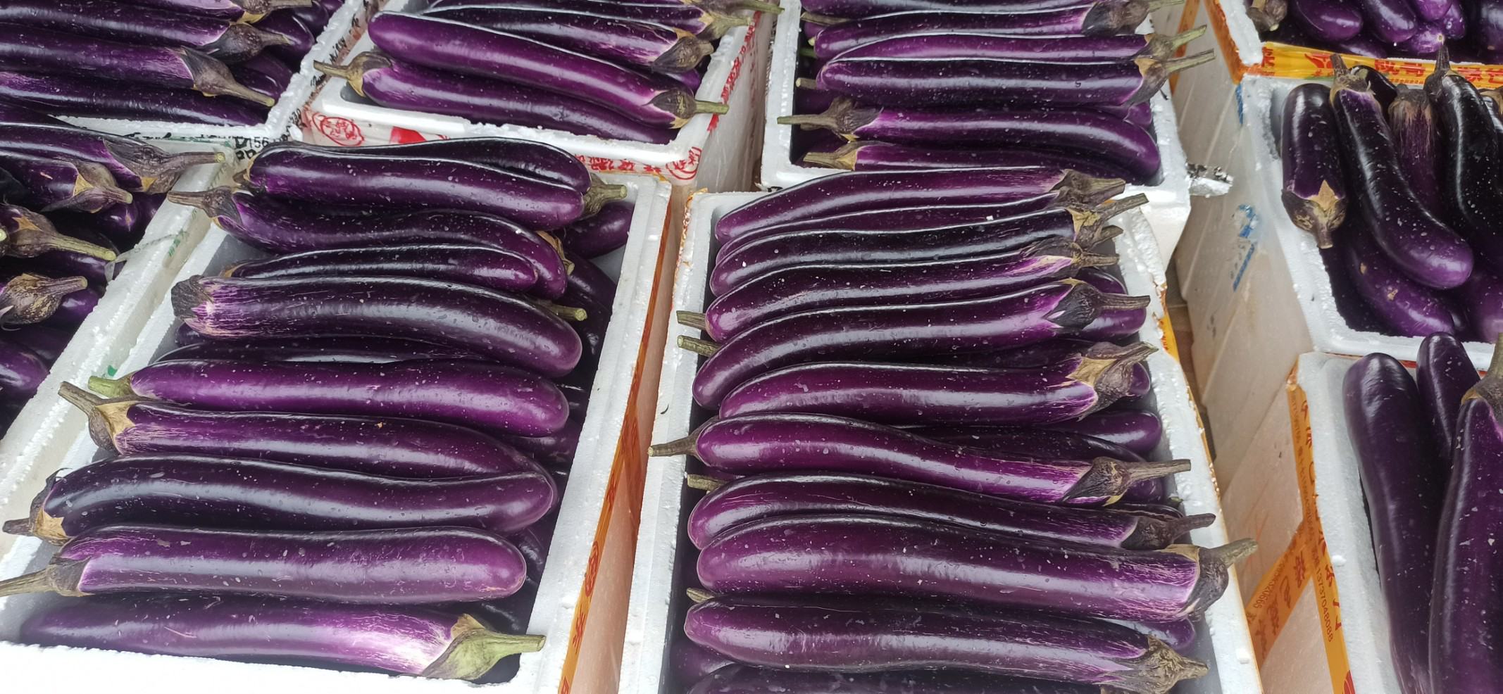 展示新鲜茄子的横截面,紫色果肉与细小种子清晰可见 茄子切片特写