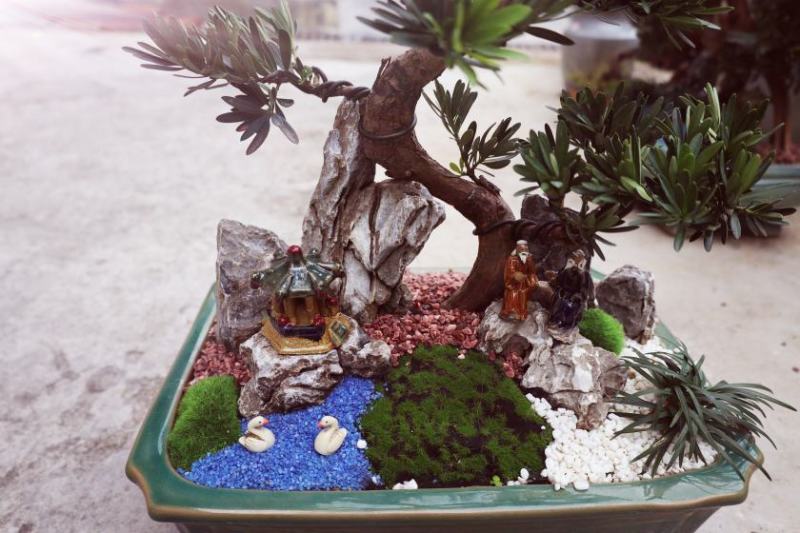 菊花芯罗汉松盆景老庄真树盆栽室内室外绿植摆件