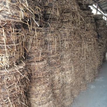 湖南益阳茶枯饼农家茶枯饼鲜货批发现货供应，欢迎批发询价。