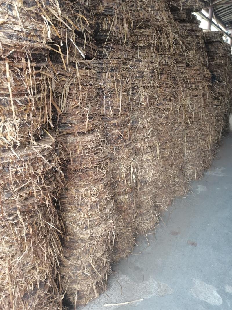 湖南益阳茶枯饼农家茶枯饼鲜货批发现货供应，欢迎批发询价。