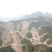 柳州市鹿寨县300亩左右山林地出租，可以种竹笋和中药材等