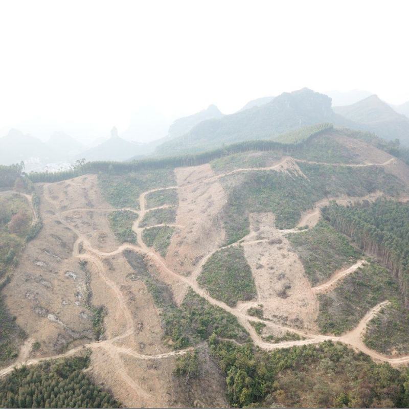 柳州市鹿寨县300亩左右山林地出租，可以种竹笋和中药材等