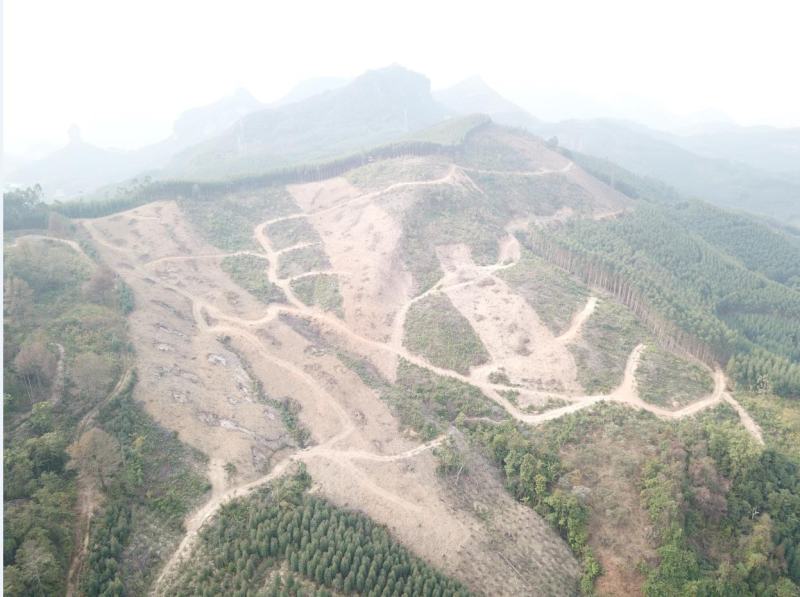 柳州市鹿寨县300亩左右山林地出租，可以种竹笋和中药材等