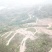 柳州市鹿寨县300亩左右山林地出租，可以种竹笋和中药材等