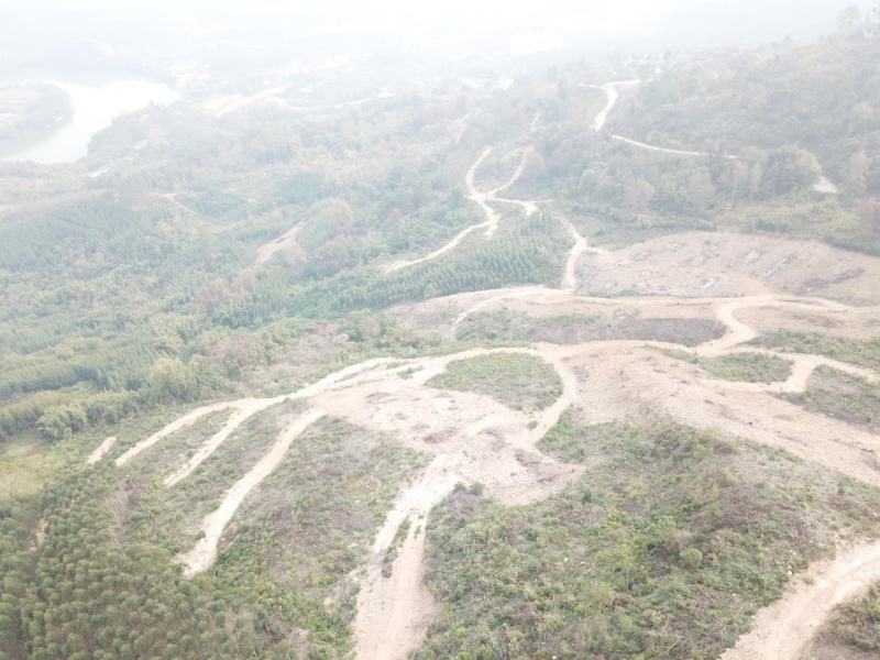 柳州市鹿寨县300亩左右山林地出租，可以种竹笋和中药材等