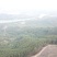 柳州市鹿寨县300亩左右山林地出租，可以种竹笋和中药材等