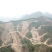 柳州市鹿寨县300亩左右山林地出租，可以种竹笋和中药材等