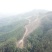 柳州市鹿寨县300亩左右山林地出租，可以种竹笋和中药材等