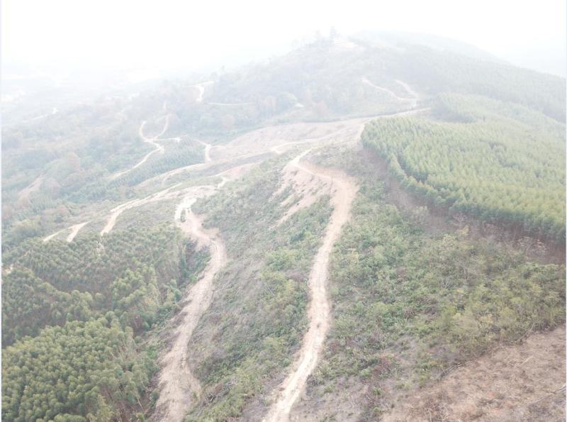 柳州市鹿寨县300亩左右山林地出租，可以种竹笋和中药材等