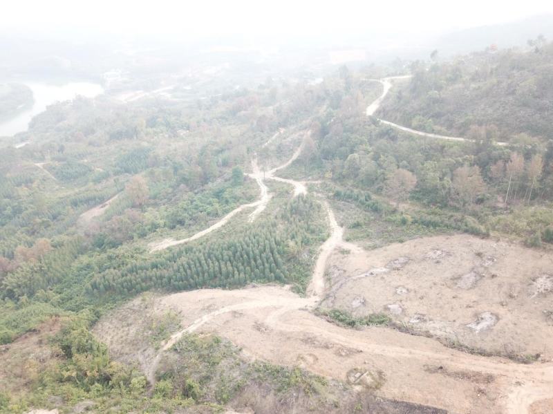 柳州市鹿寨县300亩左右山林地出租，可以种竹笋和中药材等