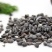 【淡豆豉】@【同欢药材】中药材批发供应规格齐全
