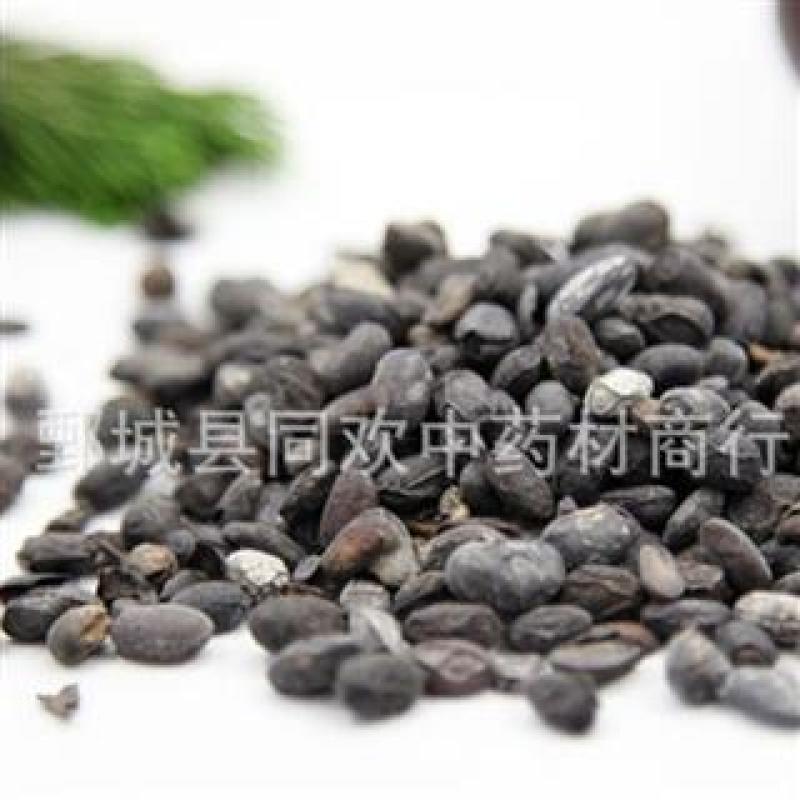 【淡豆豉】@【同欢药材】中药材批发供应规格齐全