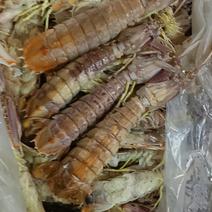 泰国皮皮虾