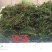 黑藻等各种沉水植物种植净化水质瑞荷水生