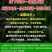 大滨菊种子小滨菊种子景观花海庭院花卉种子多年生白色花种子