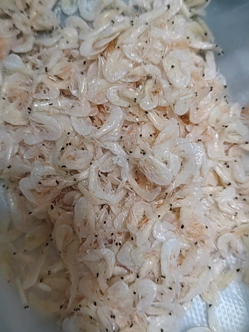 虾皮渤海低盐虾皮产地发货货量充足欢迎联系厂家直销