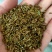 除虫菊种子红花白花除虫菊种子驱蚊效果好驱蚊草花卉种子