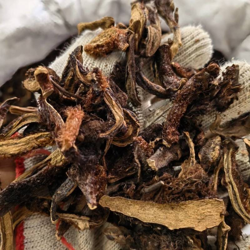 骨碎补新货无硫关书药业批发中药材