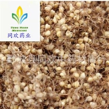 【谷芽】@【同欢药材】中药材批发供应规格齐全