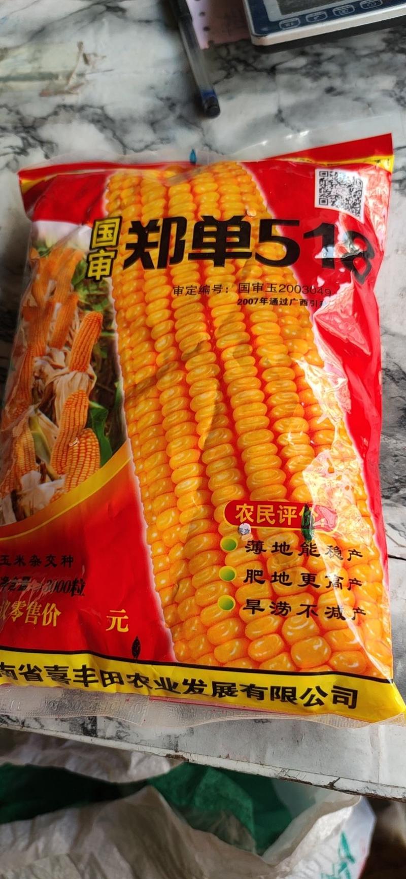 郑单518玉米种子，2斤装3000粒