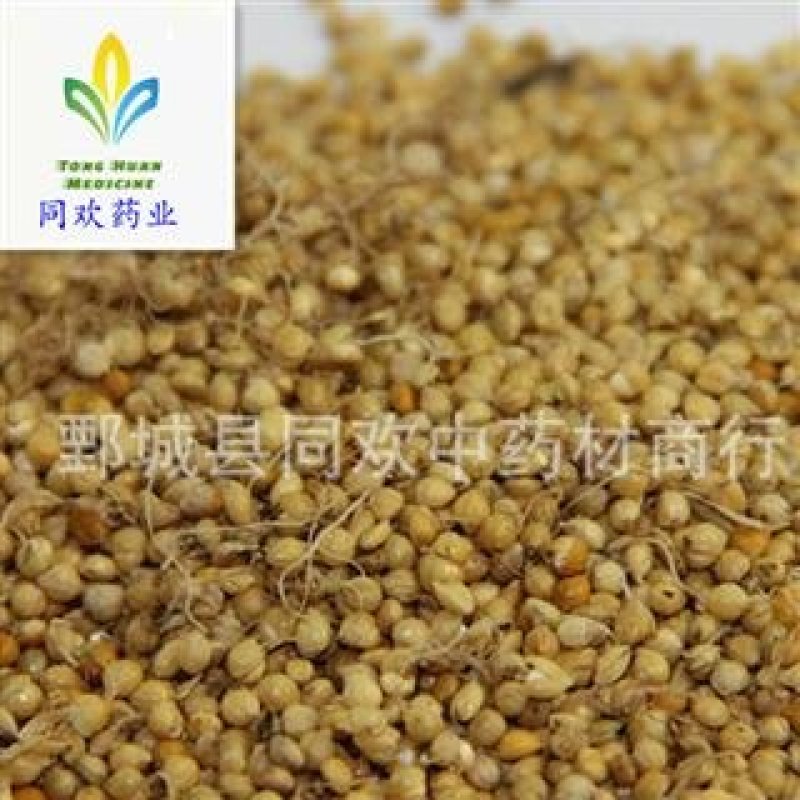 【炒谷芽】@【同欢药材】中药材批发供应规格齐全