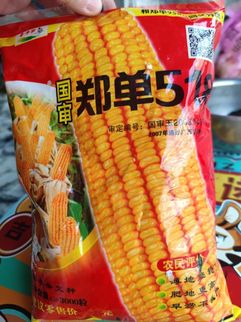郑单518玉米种子，2斤装3000粒
