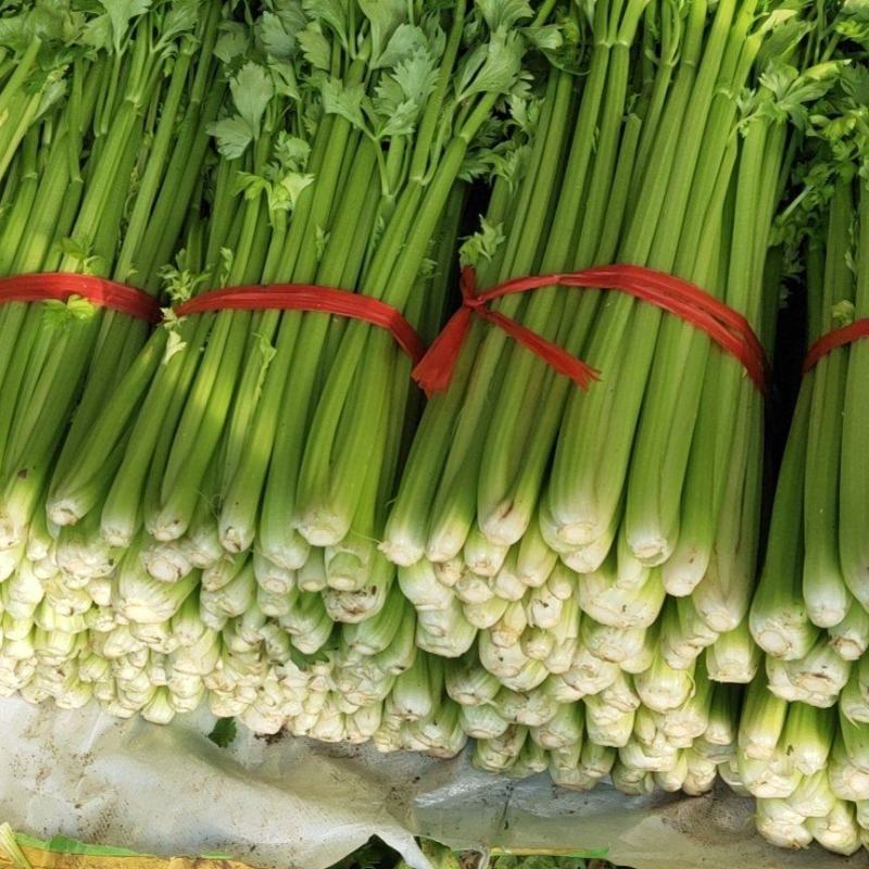 本地精品芹菜大量上市，可超市，市场，可做任何包装