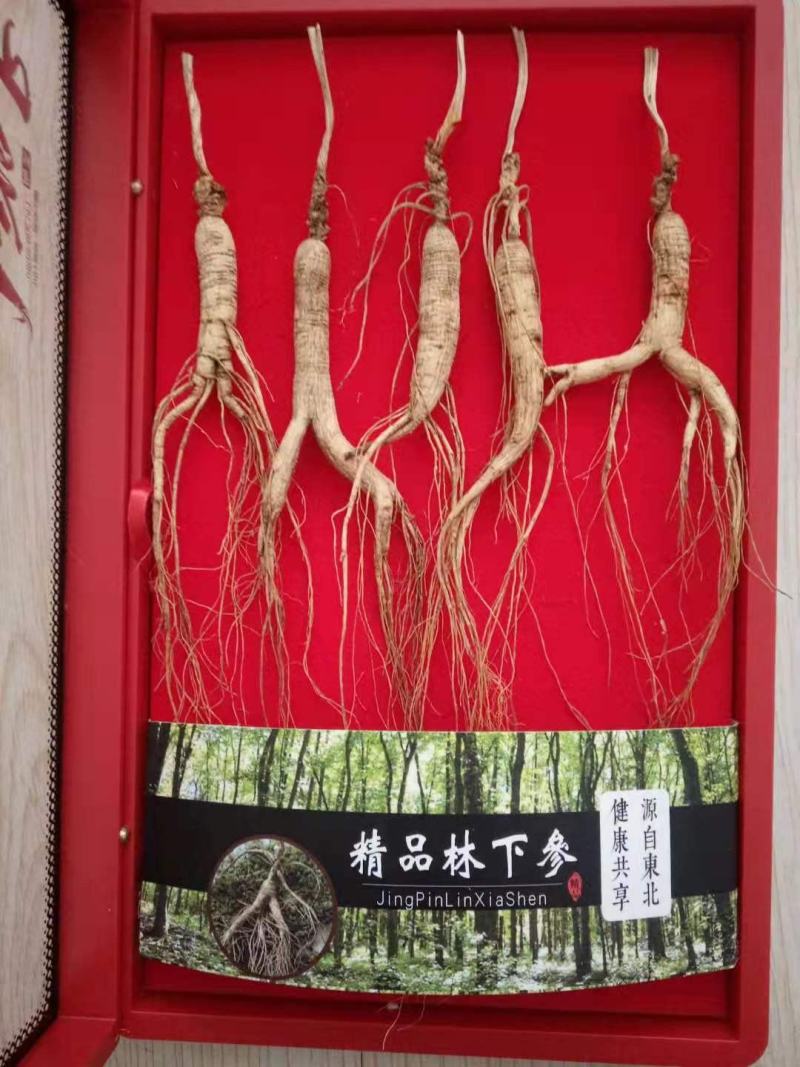 新款上市【林下参礼盒】包邮配高档手拎兜8支装5支装