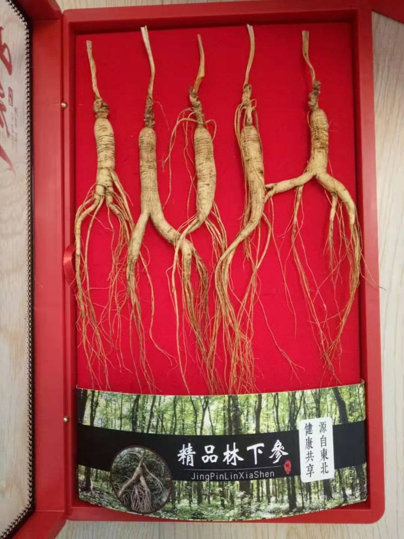 新款上市【林下参礼盒】包邮配高档手拎兜8支装5支装
