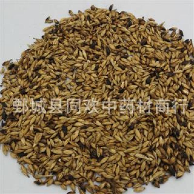 【炒麦芽】@【同欢药材】中药材批发供应规格齐全