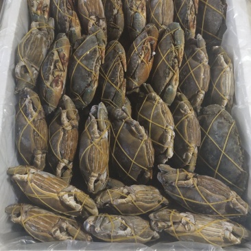 速冻青蟹，肉质饱满，物美价廉，欢迎采购