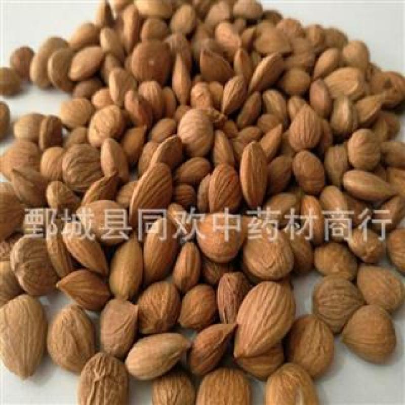 【新货苦杏仁】@【同欢药材】中药材批发供应