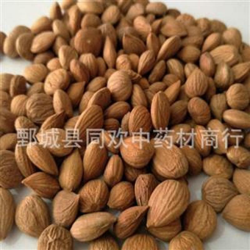 【新货苦杏仁】@【同欢药材】中药材批发供应