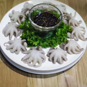 盐柔八爪鱼，脆口不缩水，餐厅大排档，电商都合适用